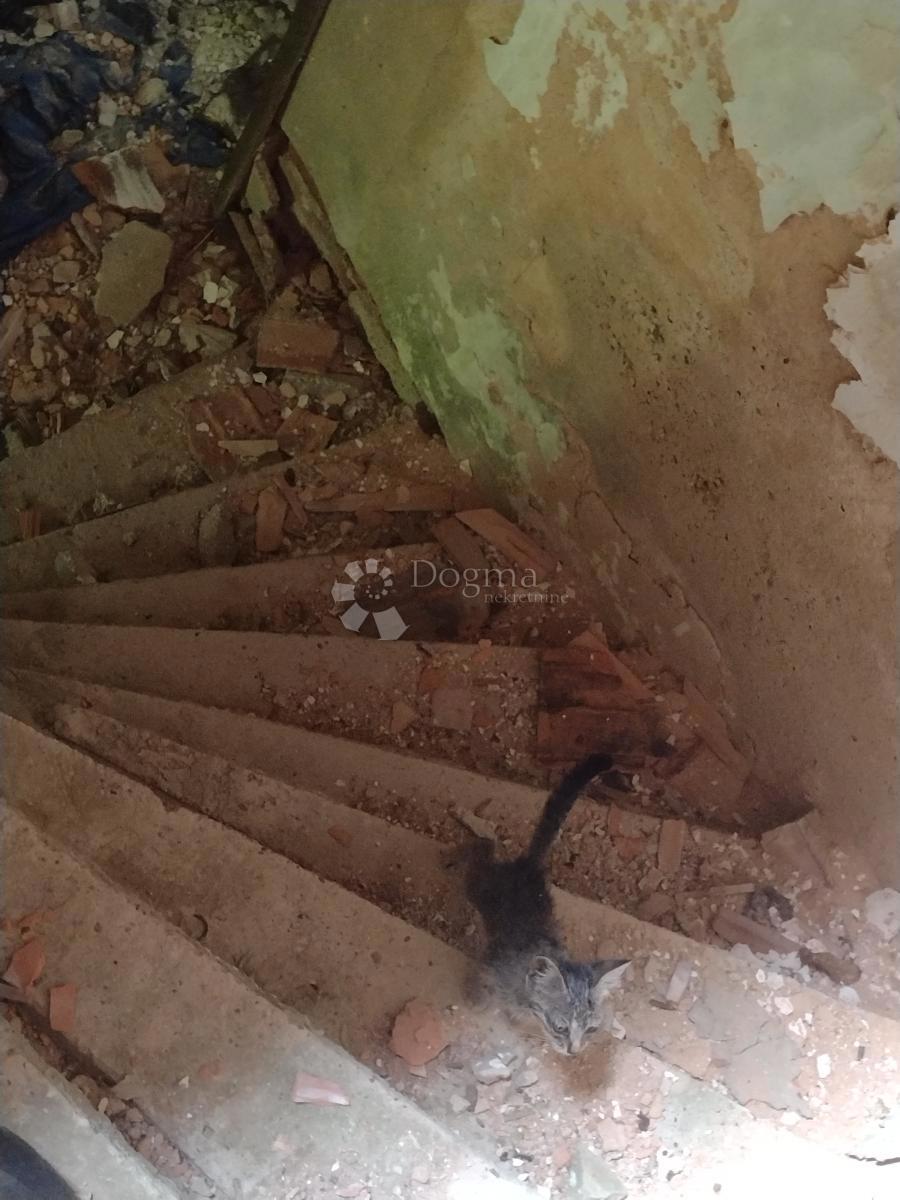 Hiša Čremušnica, Gvozd, 65m2