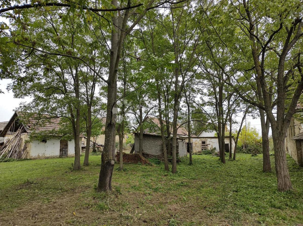 Hiša Gajić, Draž, 120m2