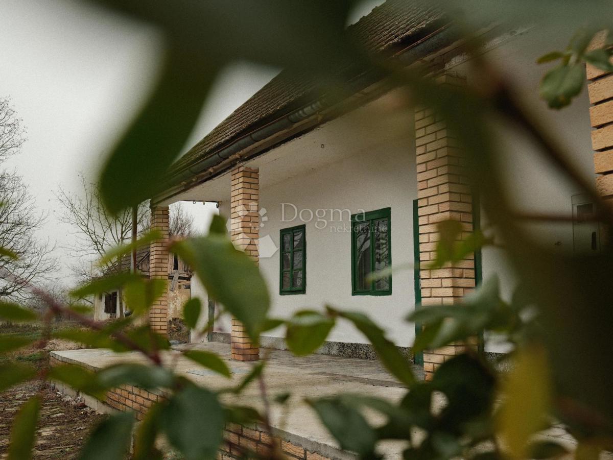 Hiša Gajić, Draž, 120m2