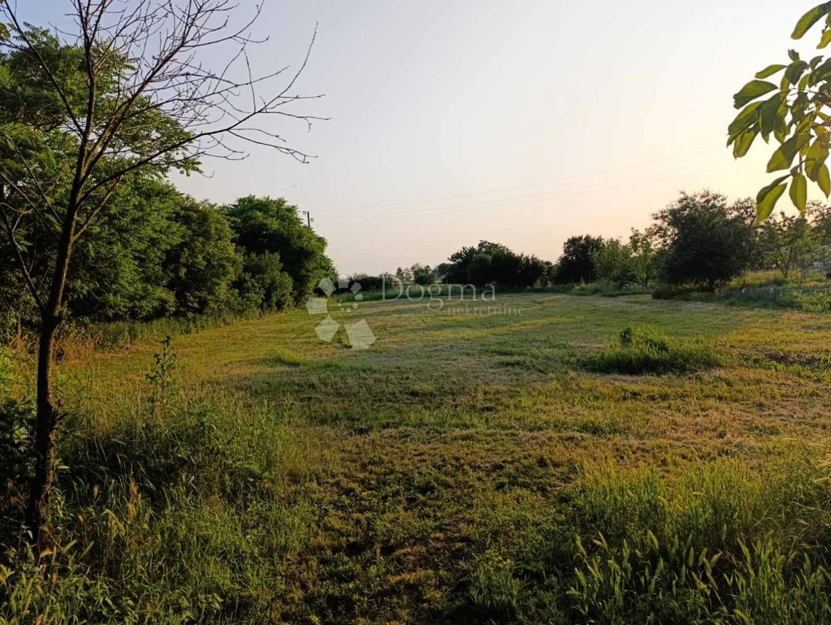 Hiša Gajić, Draž, 120m2