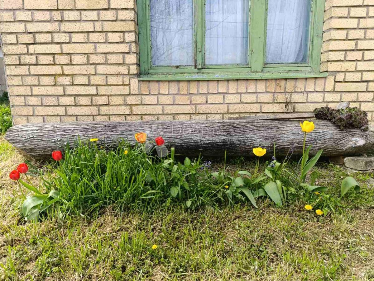 Hiša Gajić, Draž, 120m2