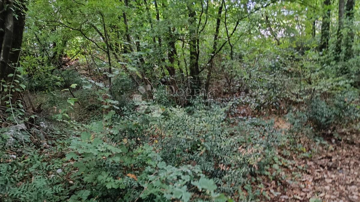 Zazidljivo zemljišče Buzdohanj, Čavle, 1.274m2