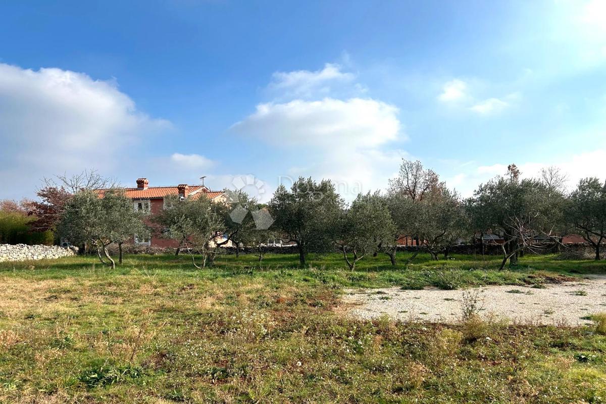 Hiša Vodnjan, 230m2