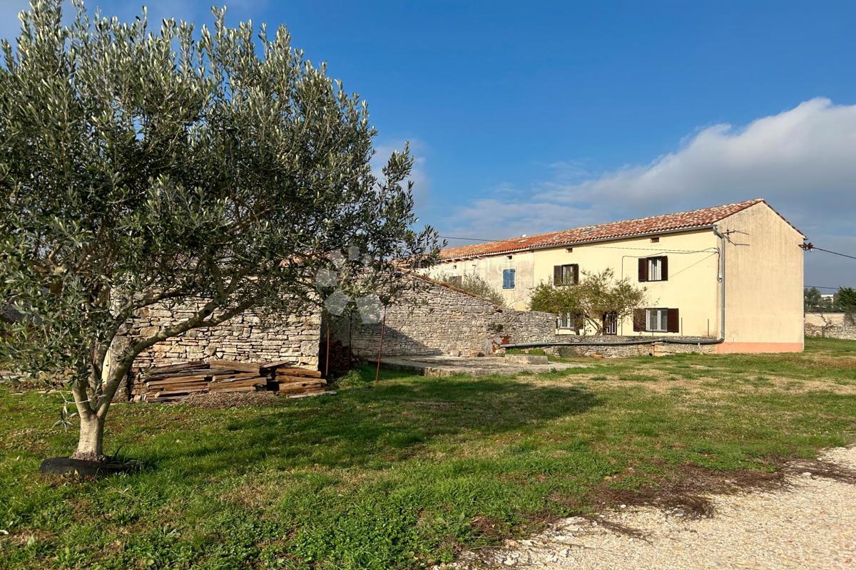 Hiša Vodnjan, 230m2