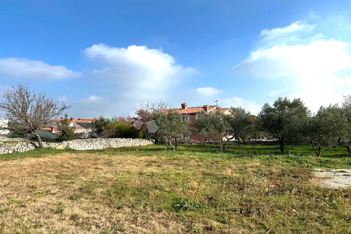 Hiša Vodnjan, 230m2