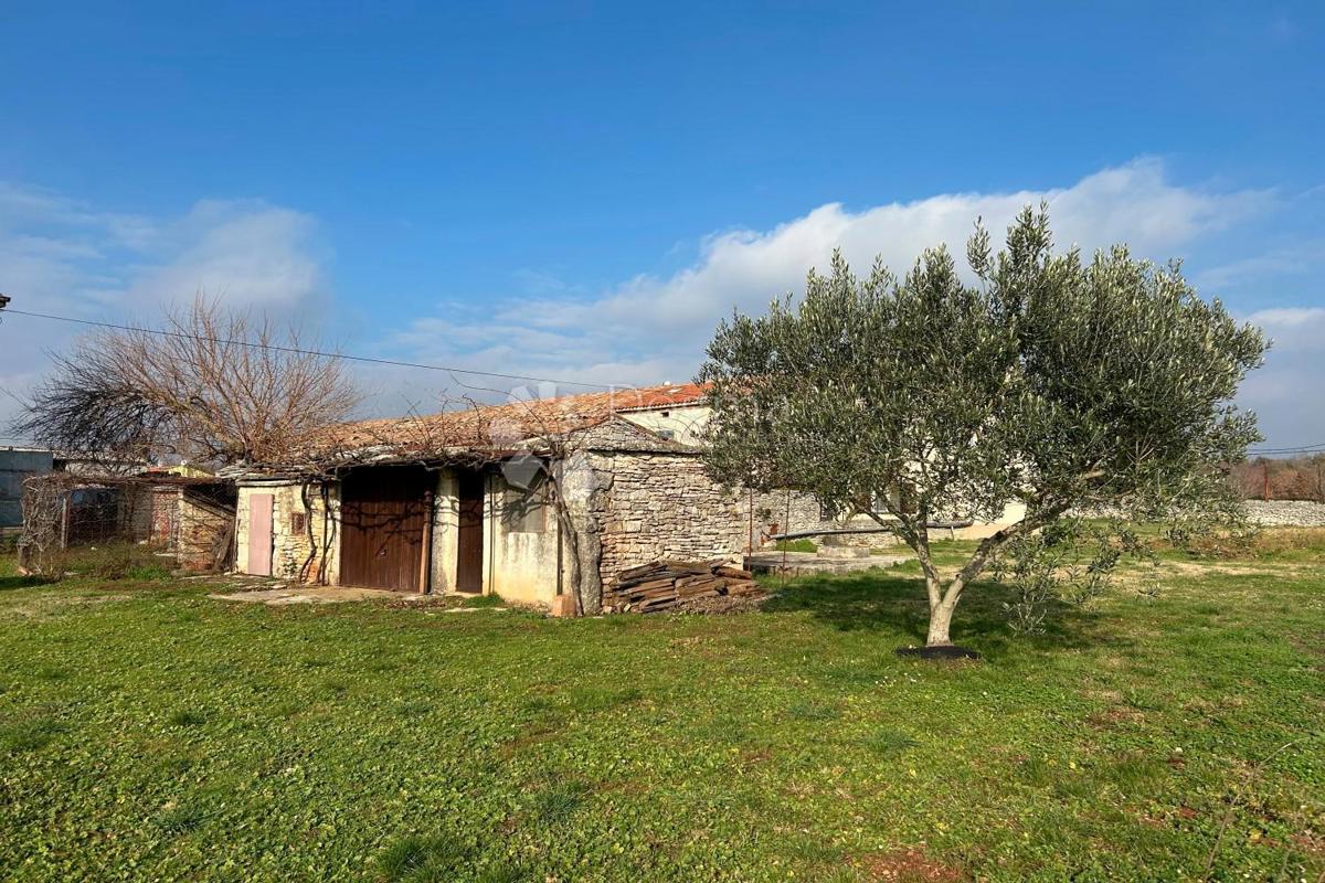 Hiša Vodnjan, 230m2