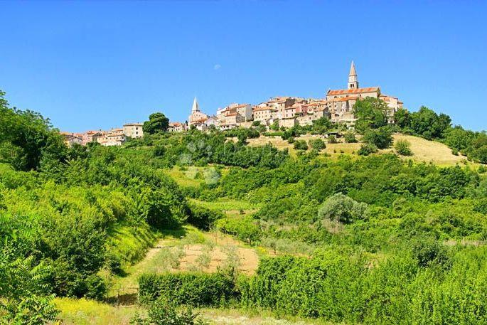 Kmetijsko zemljišče Krasica, Buje, 10.489m2