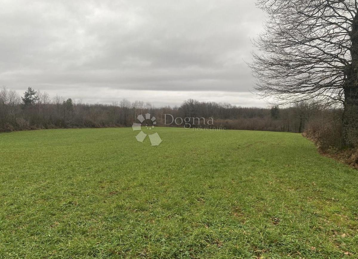 Kmetijsko zemljišče Žabica, Gospić - Okolica, 15.983m2