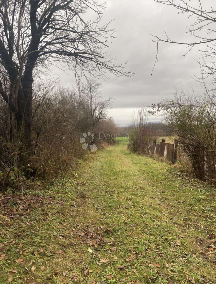 Kmetijsko zemljišče Žabica, Gospić - Okolica, 15.983m2