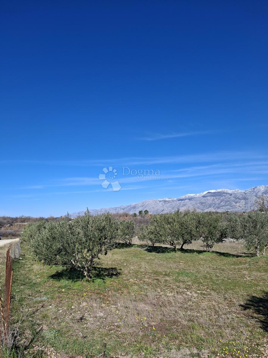 Zazidljivo zemljišče Vinjerac, Posedarje, 1.950m2