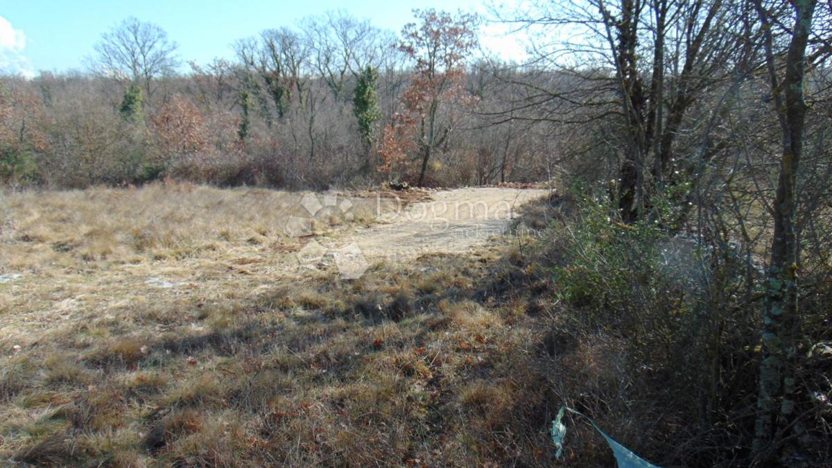 Zemljišče Šajini, Barban, 3.352m2