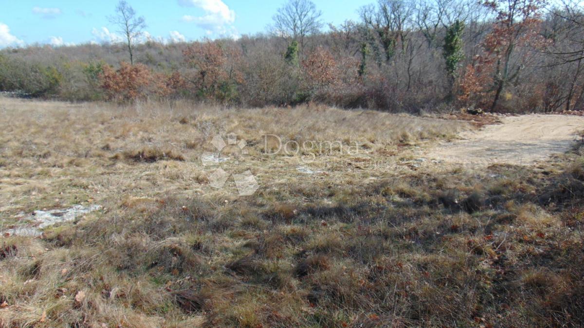 Zemljišče Šajini, Barban, 3.352m2