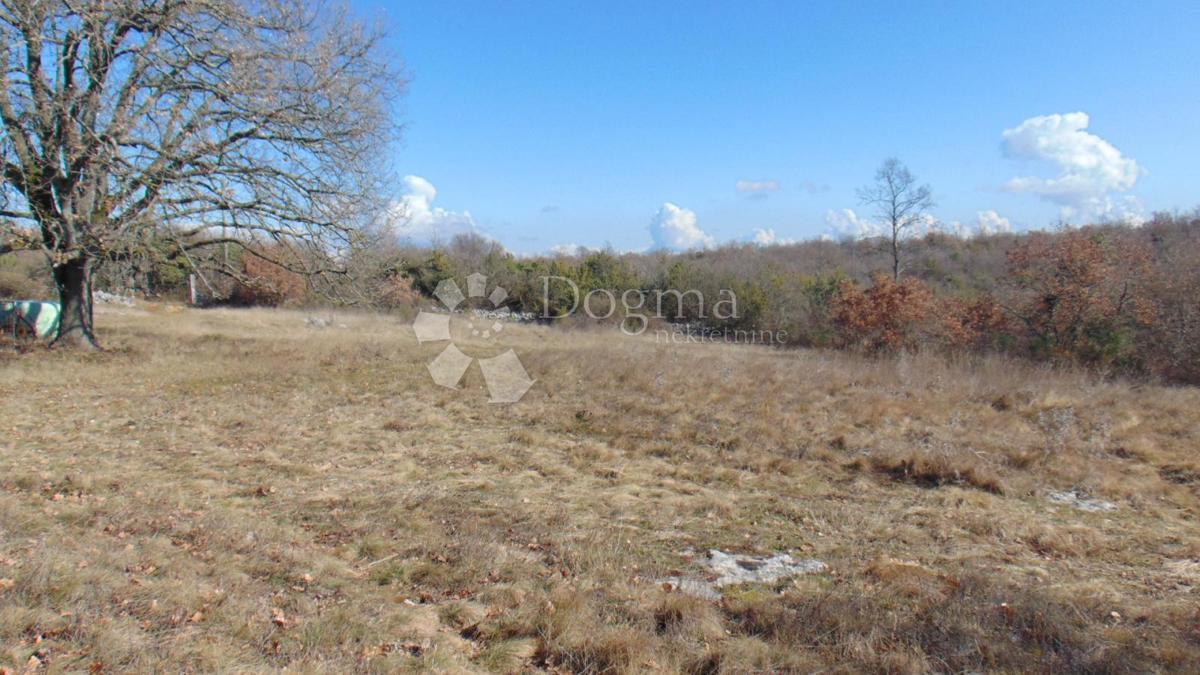 Zemljišče Šajini, Barban, 3.352m2