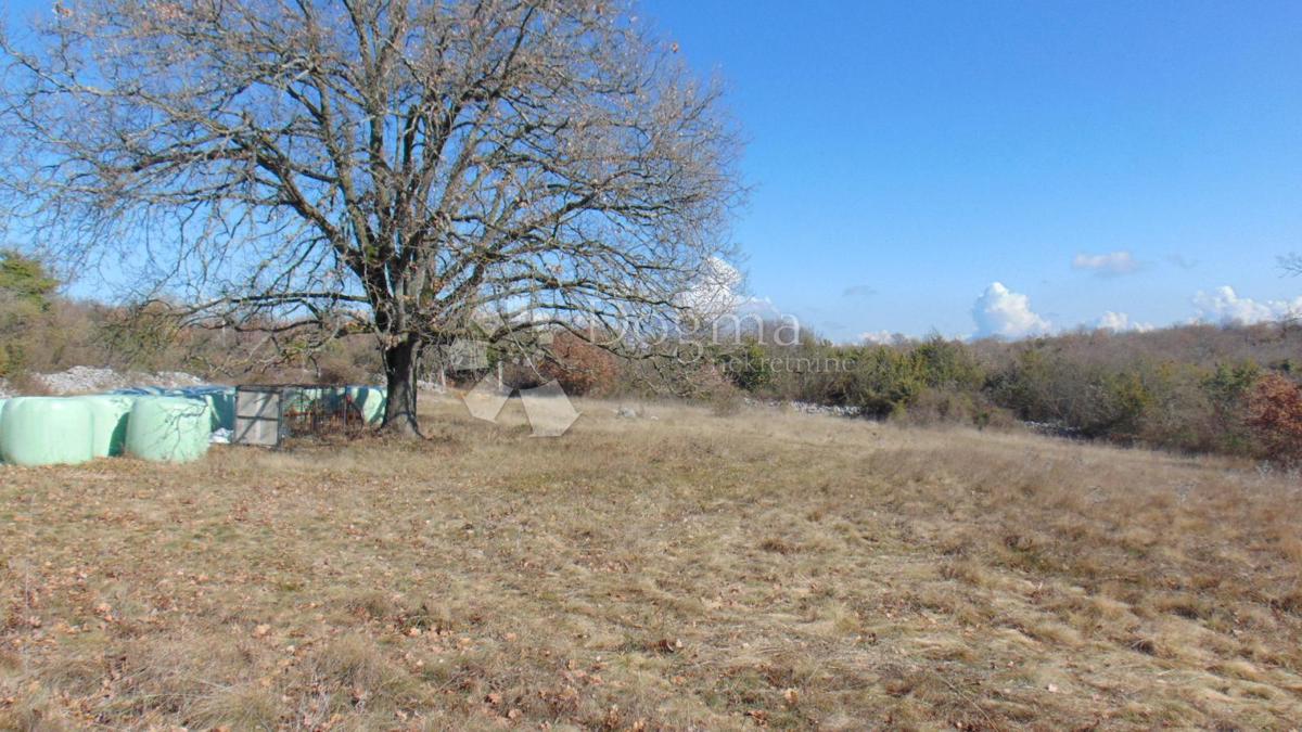 Zemljišče Šajini, Barban, 3.352m2