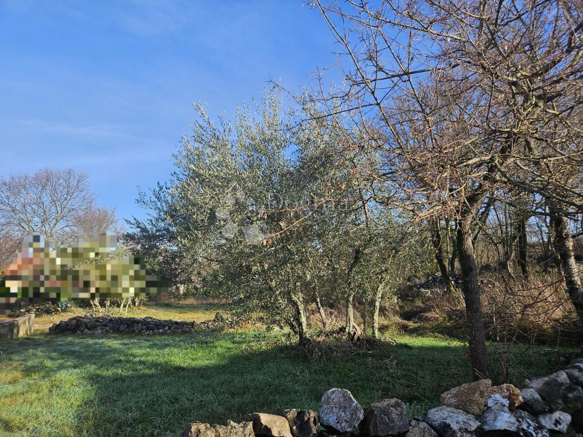 Zazidljivo zemljišče Malinska, Malinska-Dubašnica, 726m2