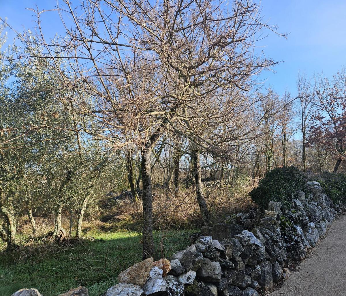 Zazidljivo zemljišče Malinska, Malinska-Dubašnica, 726m2