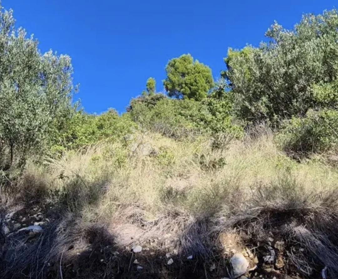 Kmetijsko zemljišče Potomje, Orebić, 4.500m2