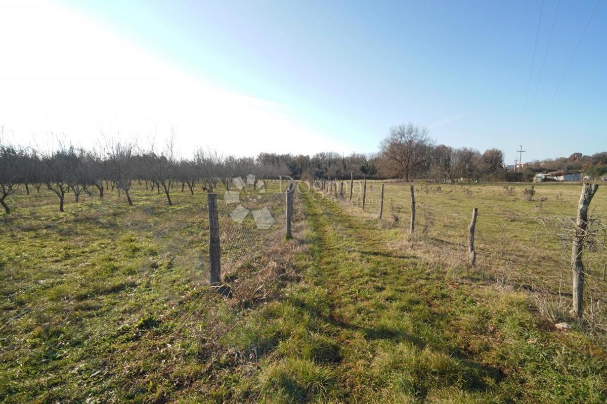 Zazidljivo zemljišče Fuškulin, Poreč, 47.418m2