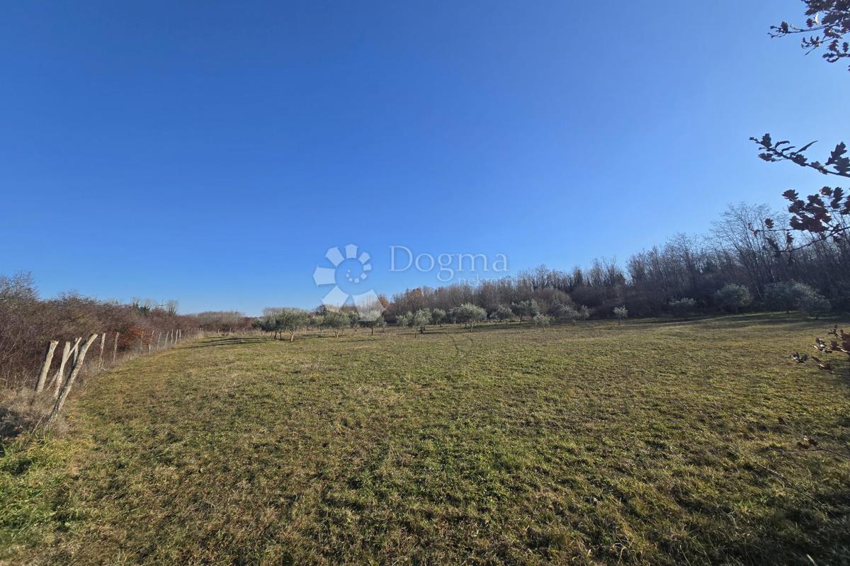 Zazidljivo zemljišče Fuškulin, Poreč, 47.418m2