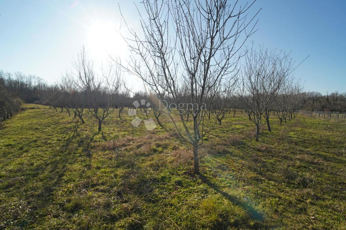 Zazidljivo zemljišče Fuškulin, Poreč, 47.418m2