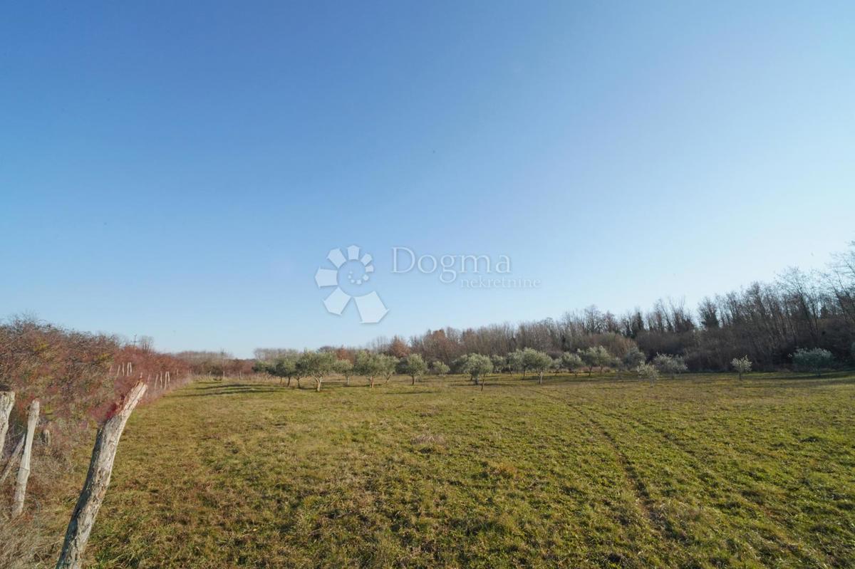 Zazidljivo zemljišče Fuškulin, Poreč, 47.418m2