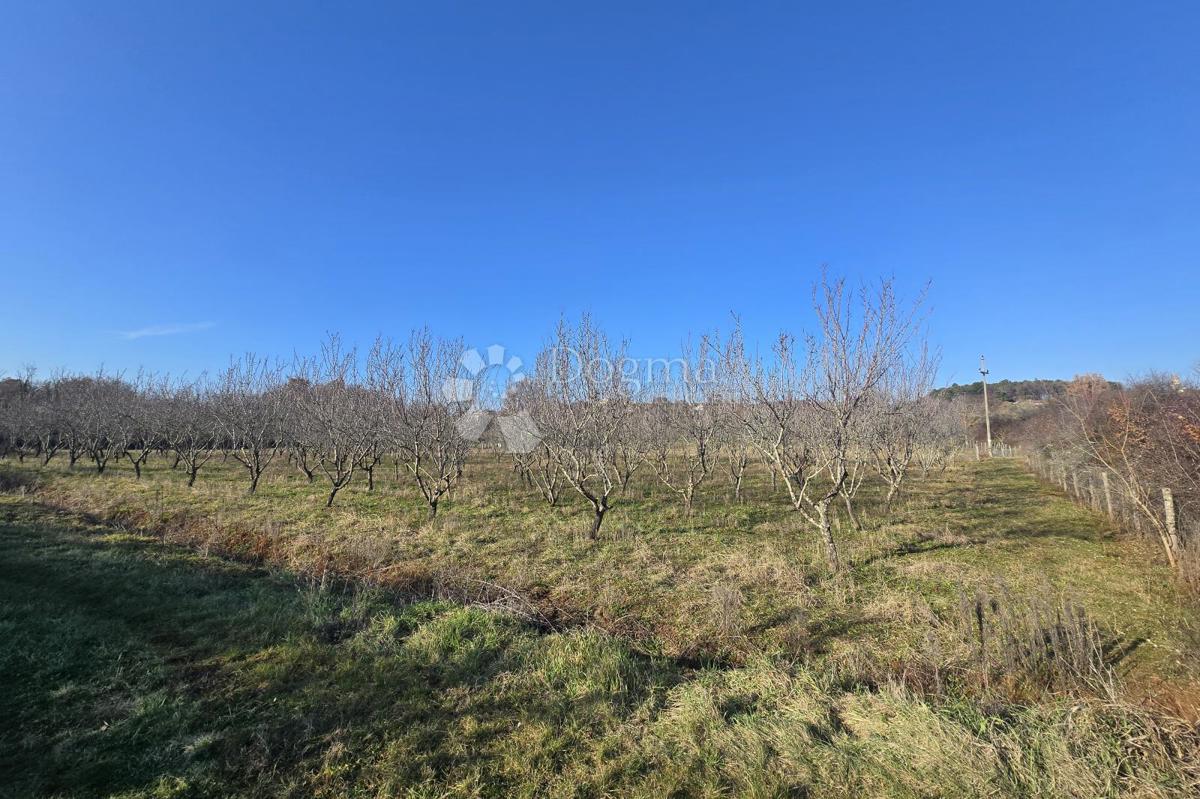 Zazidljivo zemljišče Fuškulin, Poreč, 47.418m2