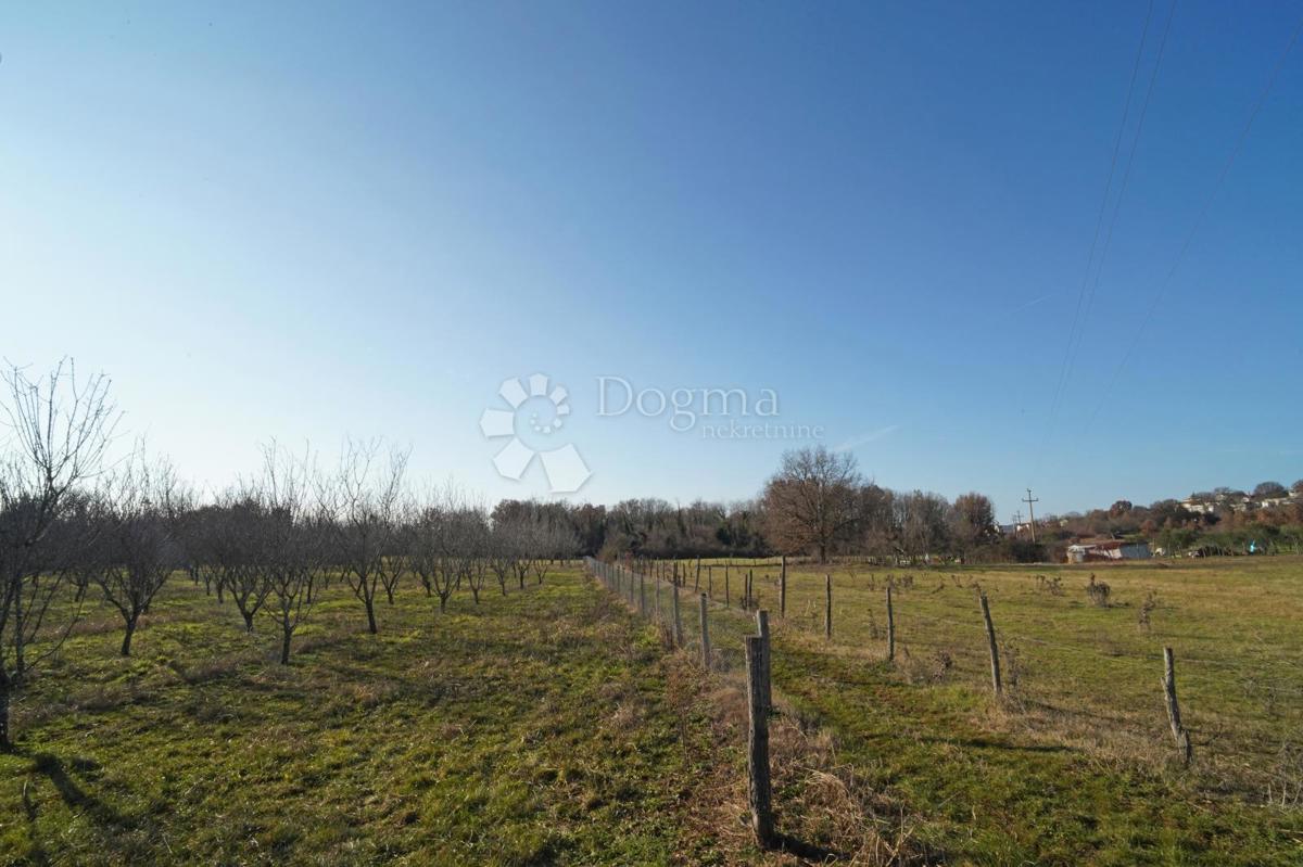 Zazidljivo zemljišče Fuškulin, Poreč, 47.418m2