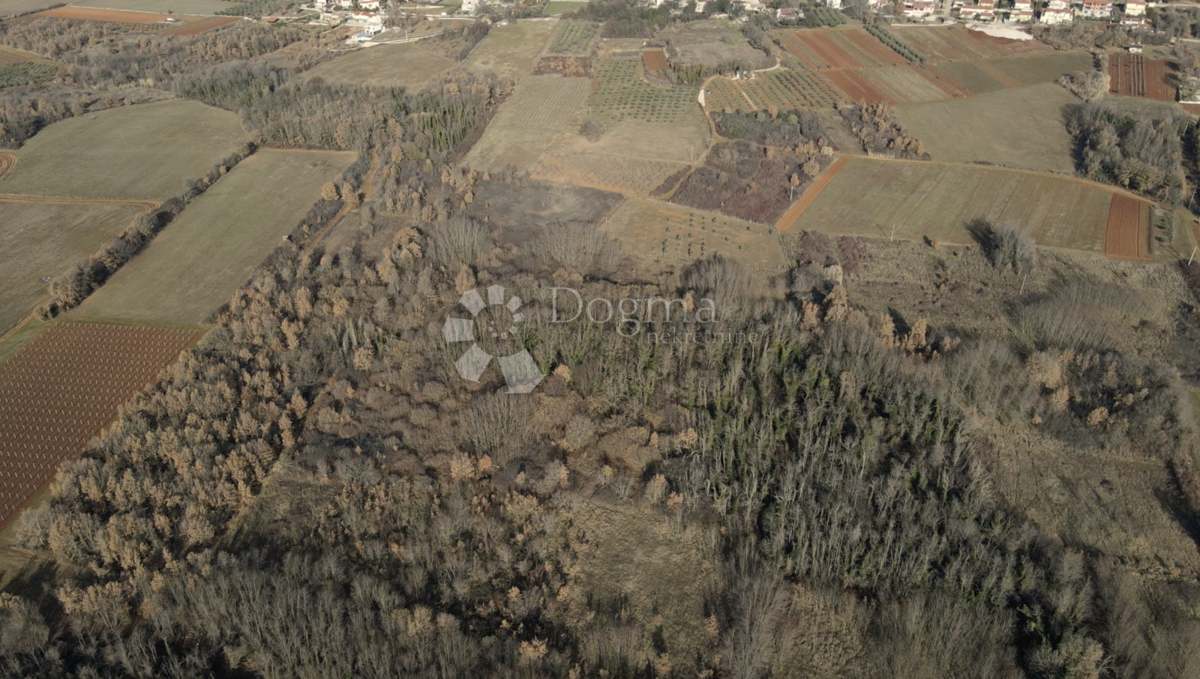 Zazidljivo zemljišče Fuškulin, Poreč, 47.418m2