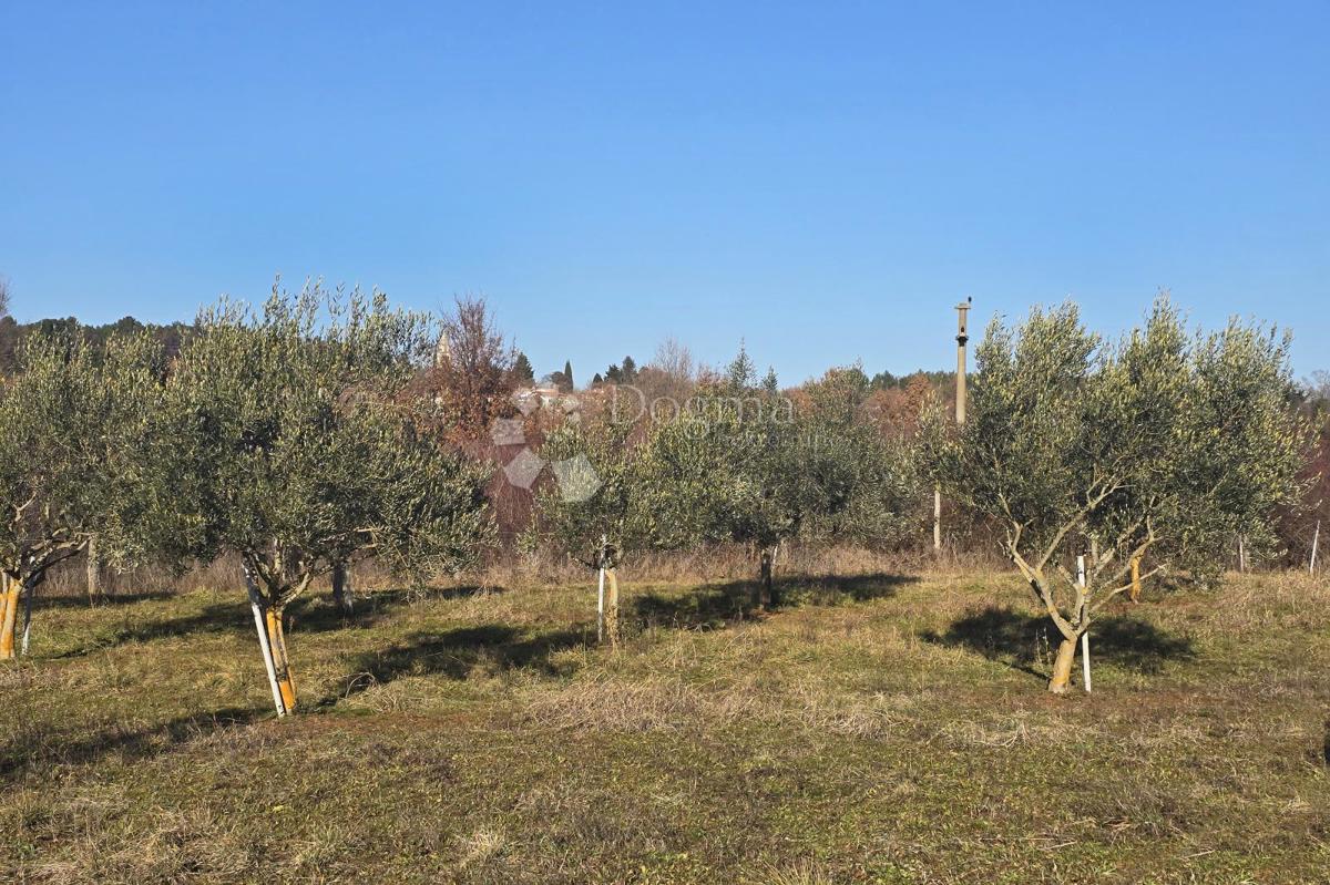 Zazidljivo zemljišče Fuškulin, Poreč, 47.418m2