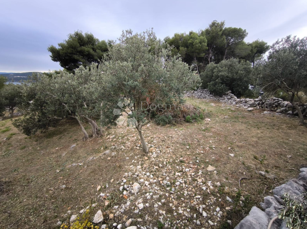 Zazidljivo zemljišče Seget Vranjica, Seget, 804m2