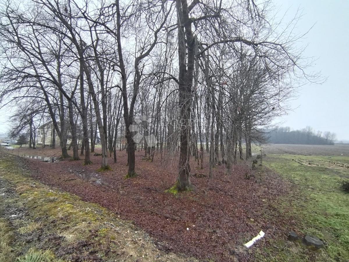 Hiša Lipovec Lonjski, Kloštar Ivanić, 303m2