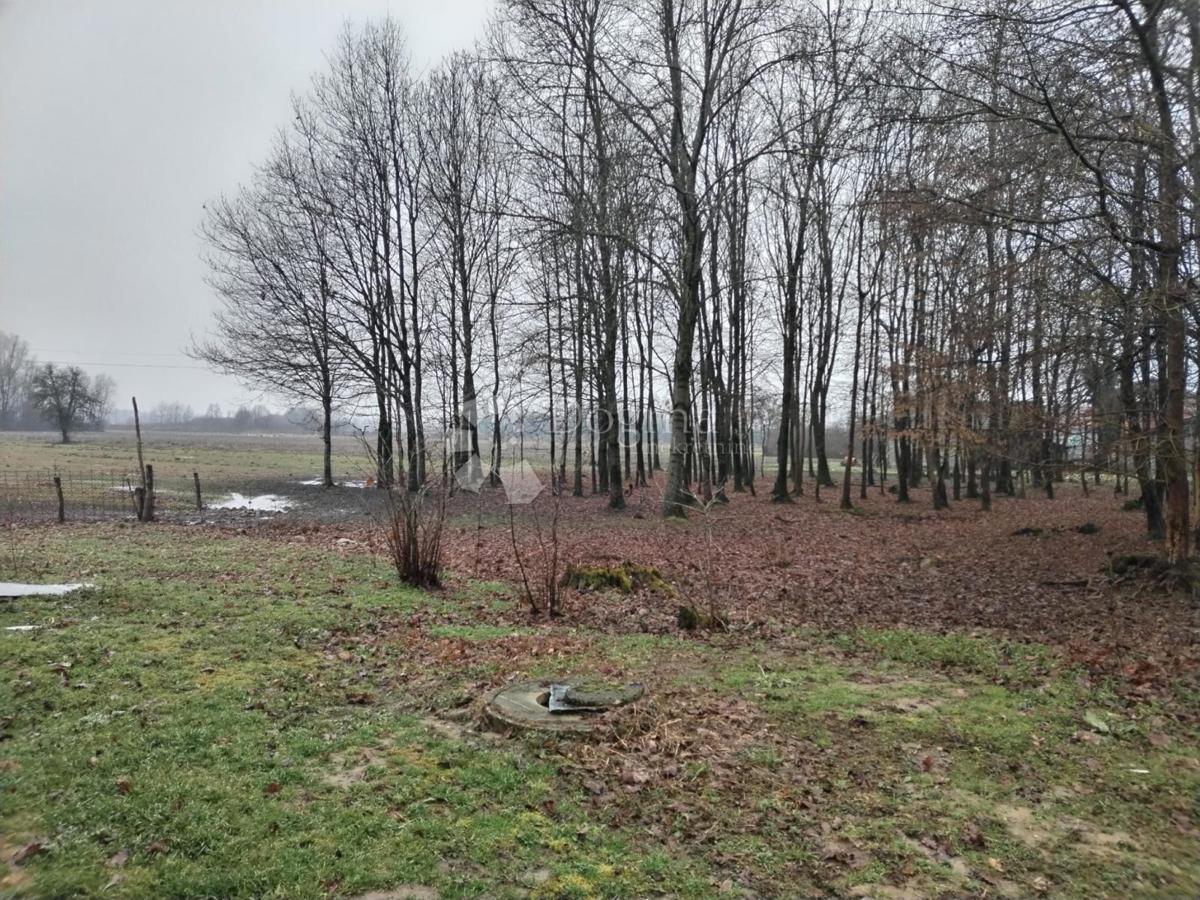 Hiša Lipovec Lonjski, Kloštar Ivanić, 303m2