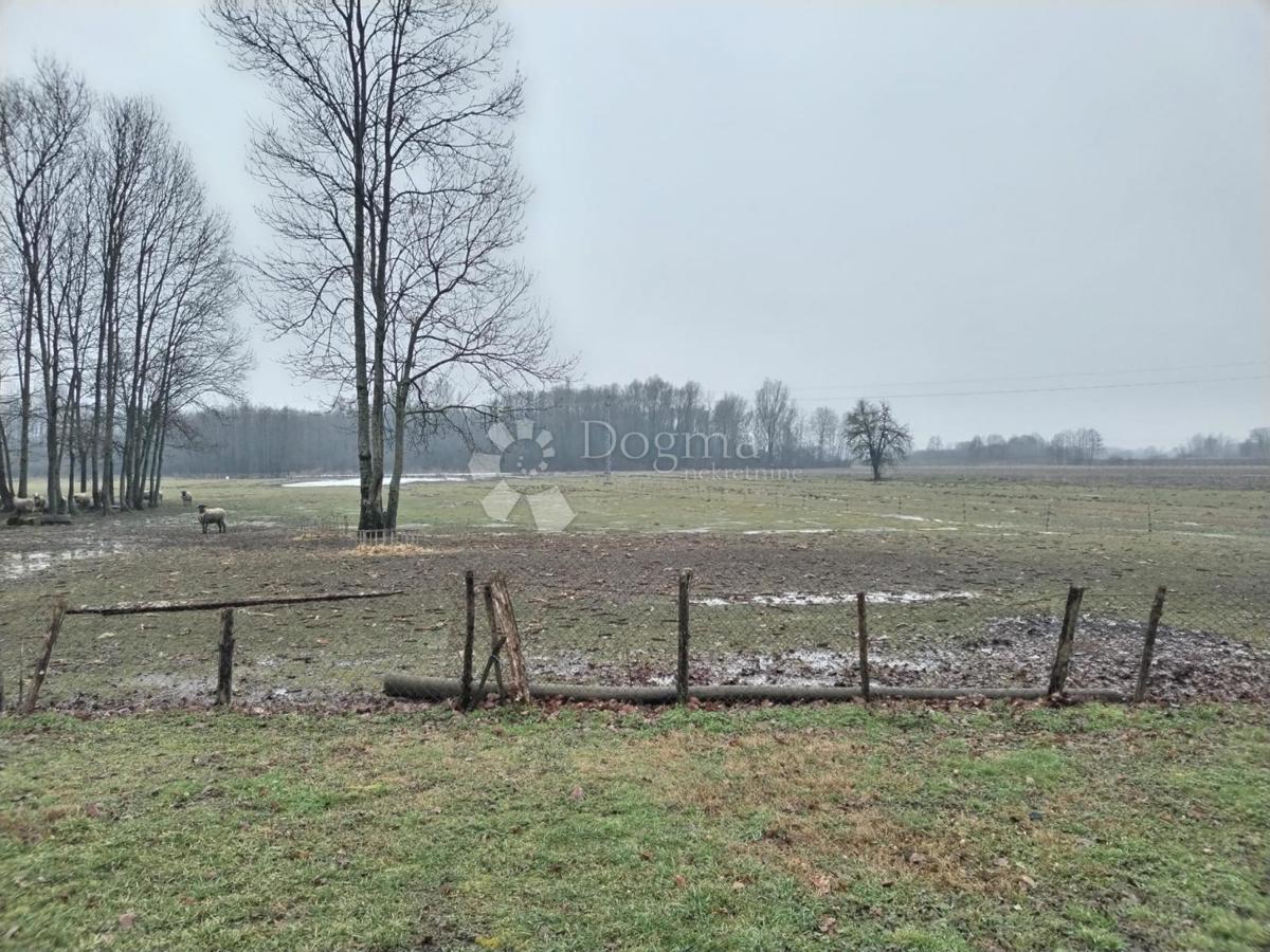 Hiša Lipovec Lonjski, Kloštar Ivanić, 303m2