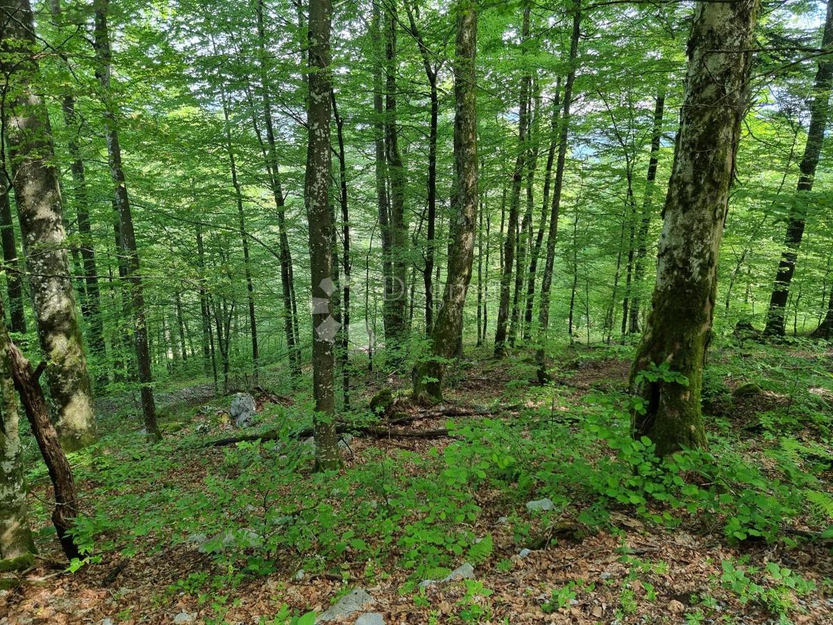 Kmetijsko zemljišče Delnice, 75,56m2