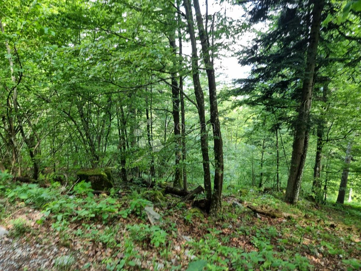 Kmetijsko zemljišče Delnice, 75,56m2