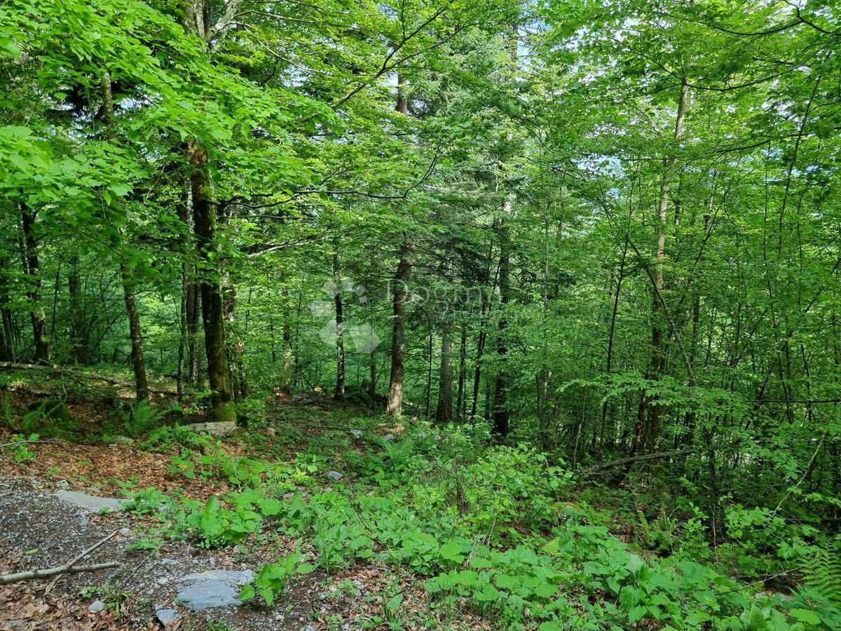 Kmetijsko zemljišče Delnice, 75,56m2