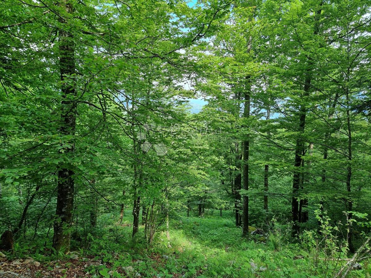 Kmetijsko zemljišče Delnice, 75,56m2