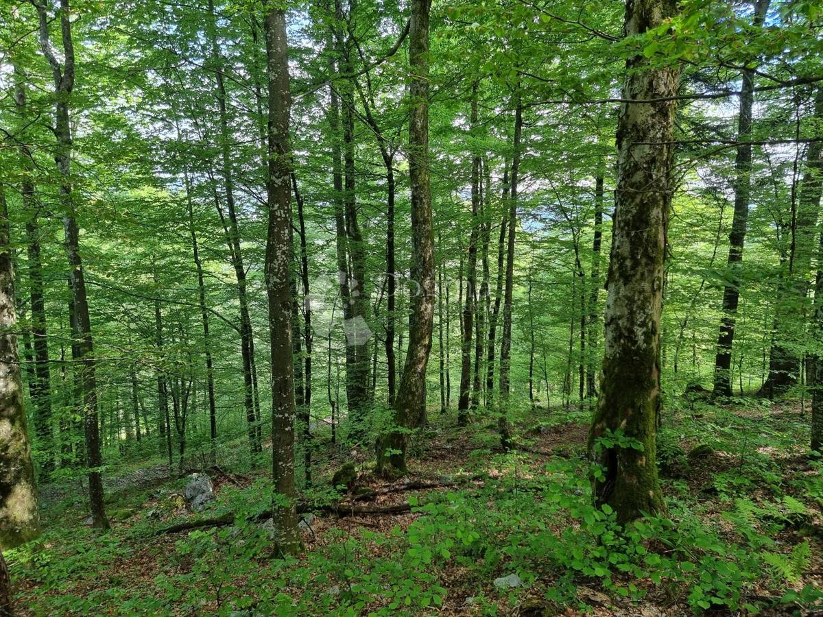 Kmetijsko zemljišče Delnice, 75,56m2