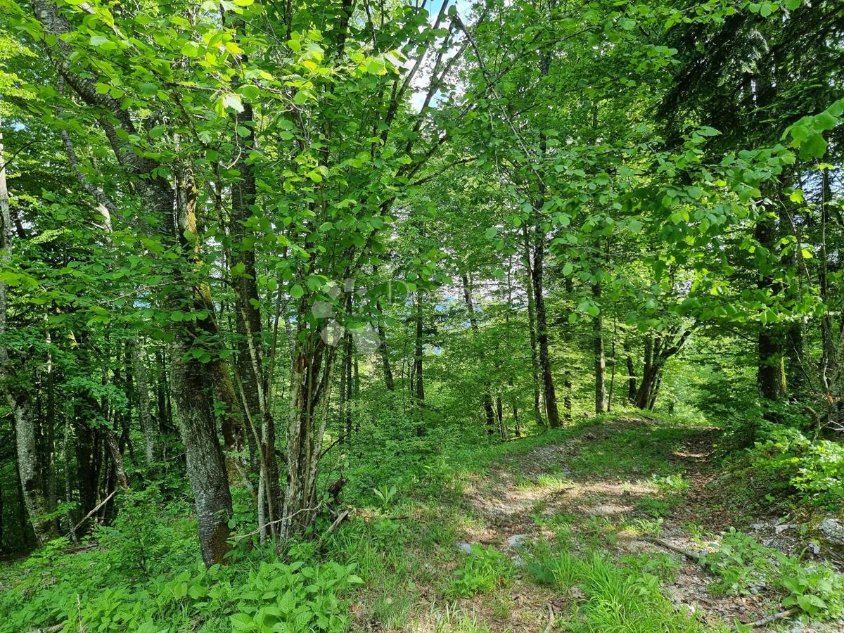 Kmetijsko zemljišče Delnice, 75,56m2