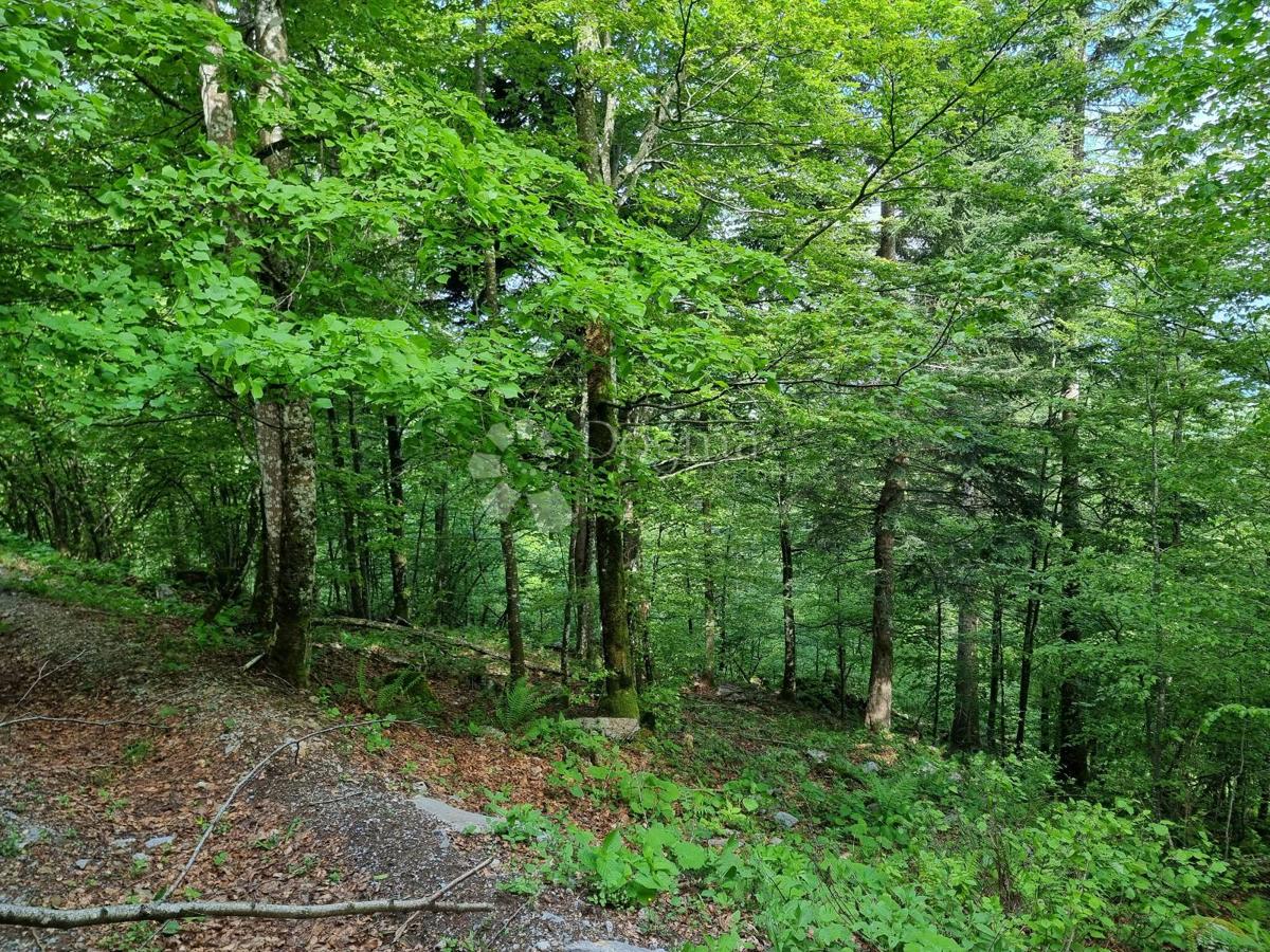 Kmetijsko zemljišče Delnice, 75,56m2
