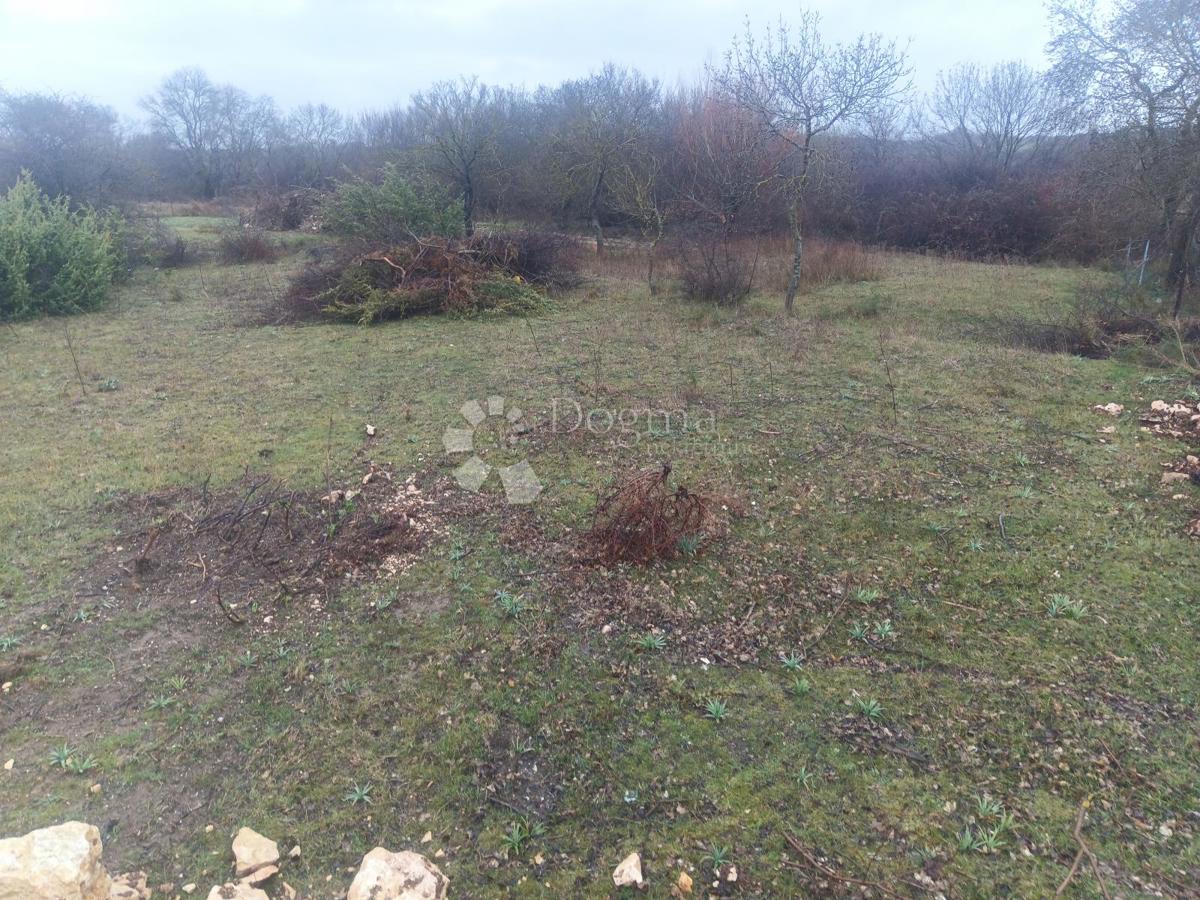 Zazidljivo zemljišče Briševo, Poličnik, 2.178m2