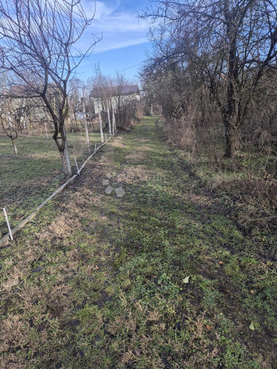 Kmetijsko zemljišče Dalj, Erdut, 6.401m2