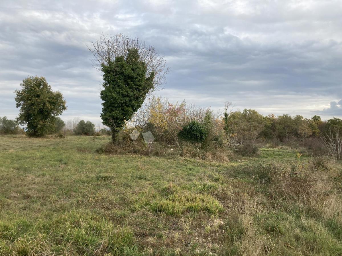 Zazidljivo zemljišče Brtonigla, Brtonigla, Brtonigla, Istarska županija, 652m2