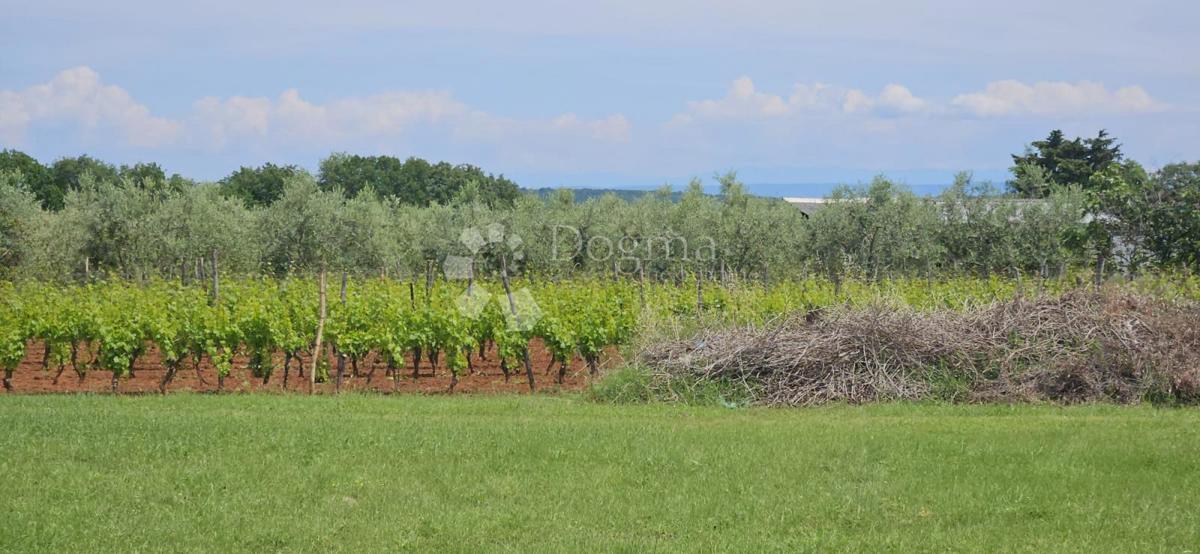 Hiša Marčana, 186m2