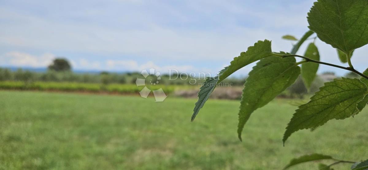 Hiša Marčana, 186m2