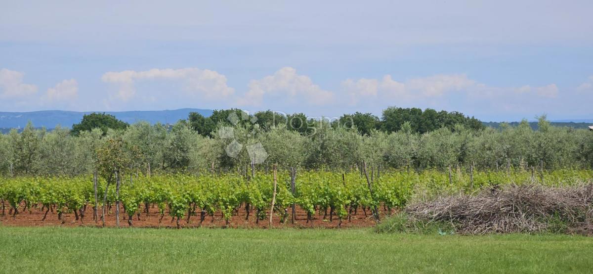 Hiša Marčana, 186m2