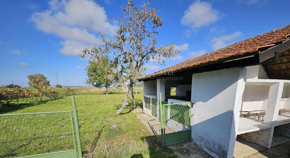 Hiša Markovac Našički, Našice, DA, 507m2