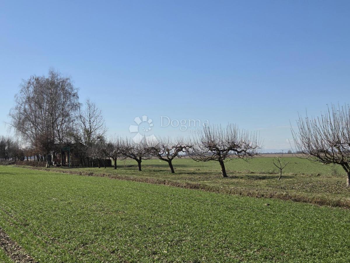 Kmetijsko zemljišče Valpovo, 1.439m2