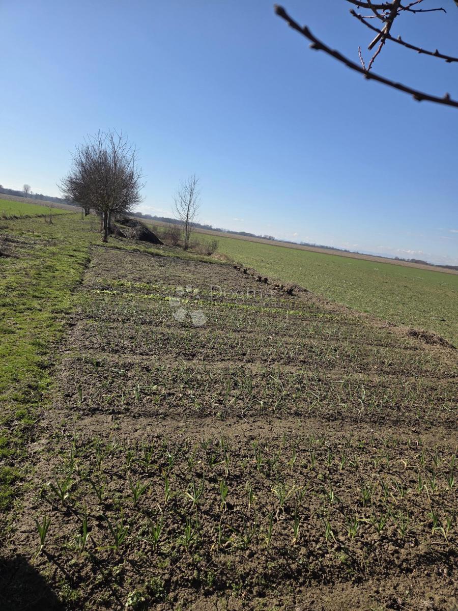 Kmetijsko zemljišče Valpovo, 1.439m2