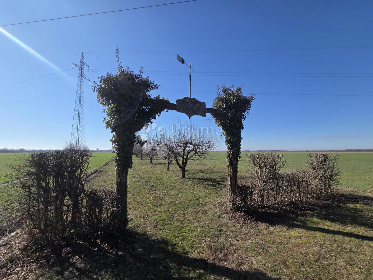 Kmetijsko zemljišče Valpovo, 1.439m2